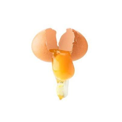 Freeze-Dried Pet Egg Yolk Whole Egg Yolk Freeze-Dried Raw Egg Yolk Cat and Dog Training Reward Snacks Factory Wholesale Freeze-Dried Pet Egg Yolk Whole Egg Yolk Freeze-Dried Raw Egg Yolk Cat and Dog Training Reward Snacks Factory Wholesale - Image 1