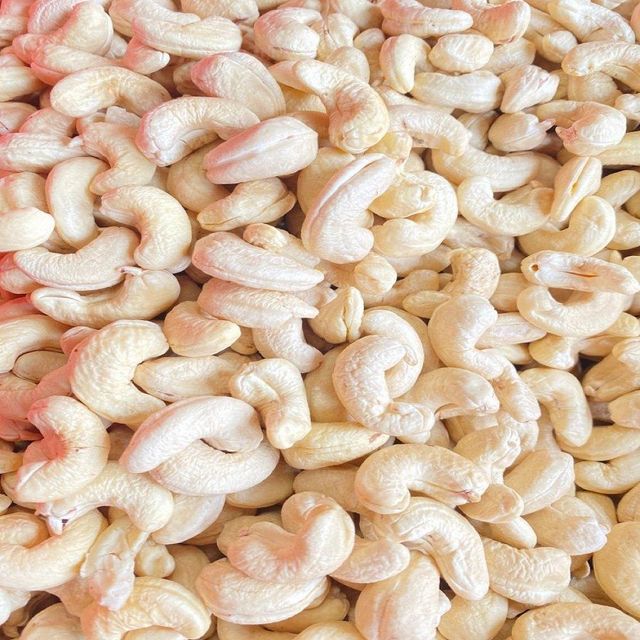 Premium W320 Raw Cashew Nuts Wholesale - Natural White Whole Cashew Kernels Bulk Supply - Image 3