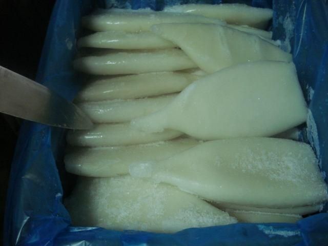 Frozen Fresh Illex Squid Premium Whole Catch Prepared For Frozen Seafood Supply Supporting High Volume Buyer Demand - Image 4