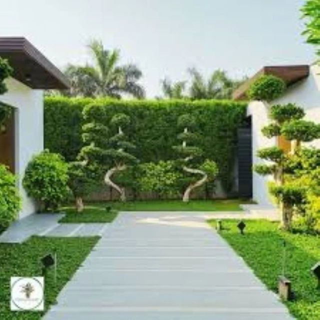 Residential Terrace Garden Design Execution Service - Image 1