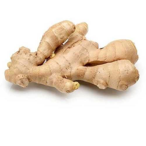 FRESH GINGER - Image 3