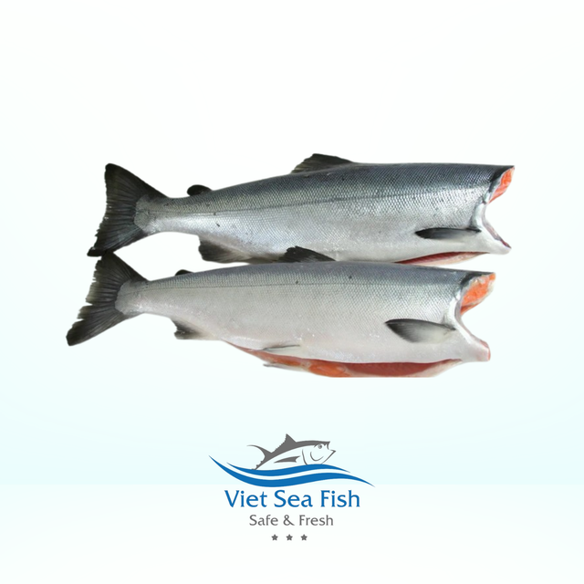 Frozen Coho Salmon Cif Price 8,80 Usd/kg Weight Per Unit 3-4 Kg Packing Weight 20 Kg/carton Minimum Order Quantity 5 Tons - Image 1