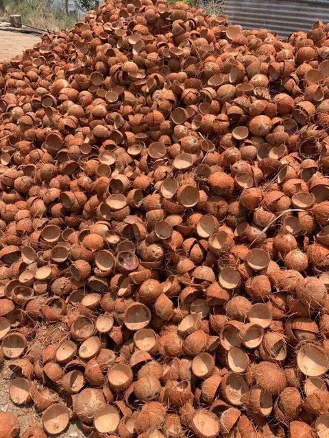 HOT SELLING Coconut Shell Raw Material for Charcoal Production and Carbon Processing Clean Source Stable Supply - Image 5