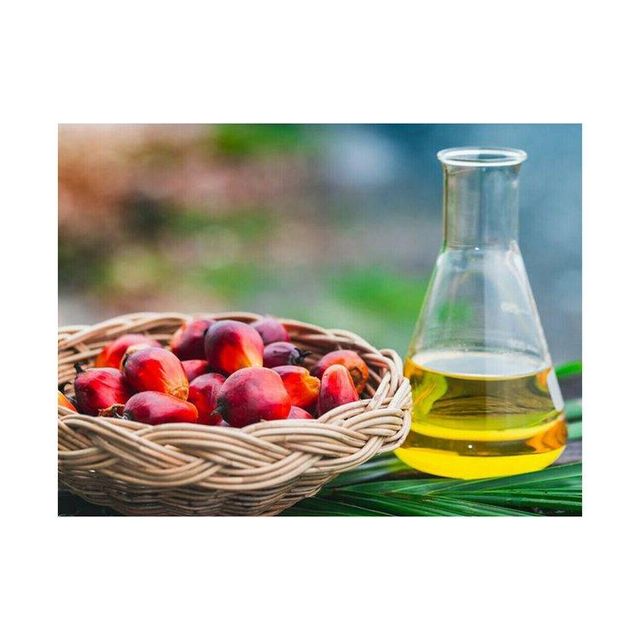 Premium edible palm oil manufacturer providing refined palm cooking oil for restaurants fast food chains catering services and food production industries with large quantity supply and global export shipping. - Image 3