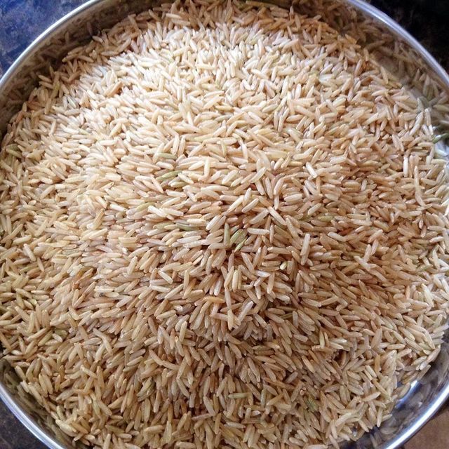 Selected Dried Grain Featuring Brown Rice Natural Farming Methods And Reliable Export Packing - Image 4