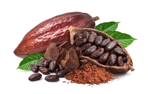 dried cocoa beans 9 % Moisture - Image 3
