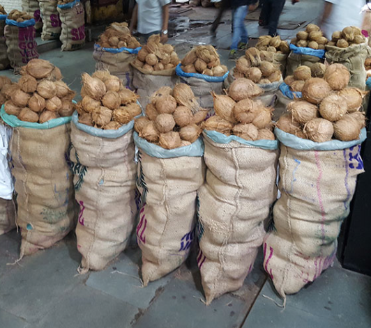 Semi Husk Coconut – product photo 3, product detail gallery