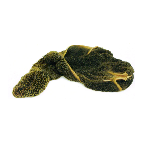 Dried salted Frozen Beef Omasum/ Cow Stomach/ Halal - Image 1