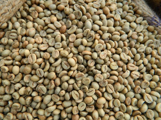 Robusta coffee beans/Arabica And Robusta Coffee Beans , Green Coffee Beans for sale – product photo 4, product detail gallery