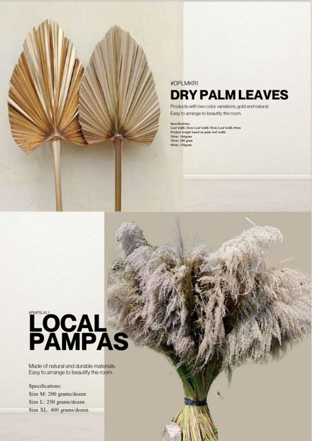 Dried Flowers For Home Decoration /Call for price info@rayyanagri.com - Image 2