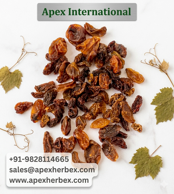 , Bird Feed Raisins, Indian BirdFeed Raisins,Raisin, BirdFeed Raisins bulk supplier from India, Jumbo Raisins - Image 1