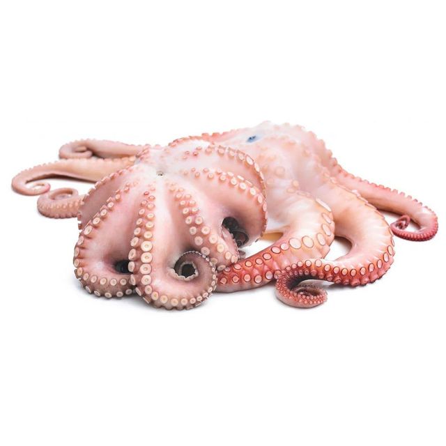 Frozen Fresh Octopus Selected From Quality Catch Sources With Firm Texture And Excellent Market Demand Potential - Image 2