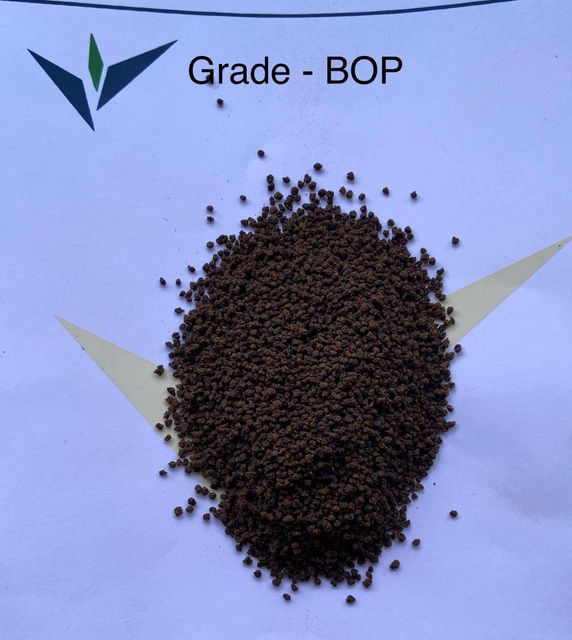 black tea - Image 5