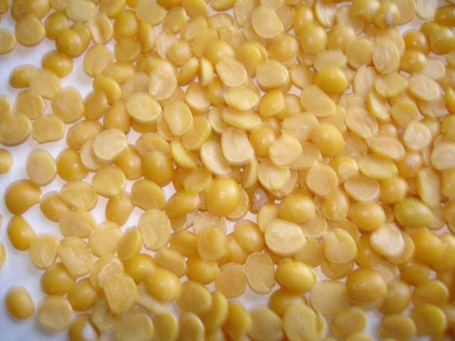 Selected Yellow Lentils Split Natural Seeds Fresh Clean Protein Rich Pulse Ideal For Cooking Curry Soup Dal And Food Distribution Buy Today Fast Delivery Premium Quality Wholesale - Image 5