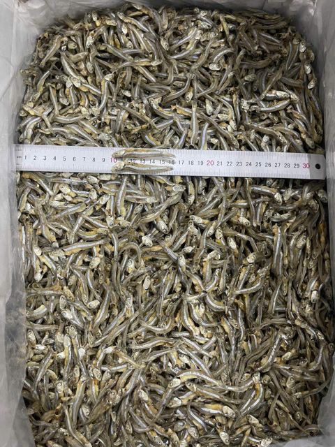 Dried Anchovy - Stolephorus commersonnii - Well - Qualified Origin Vietnam Impurities 3% Max Color Natural Color Shelf Life 12 Months - Image 1