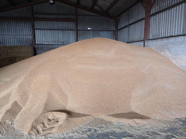 Quality Wood Pellets Made From Natural Hardwood For Stoves Boilers And Heating Systems - Image 3