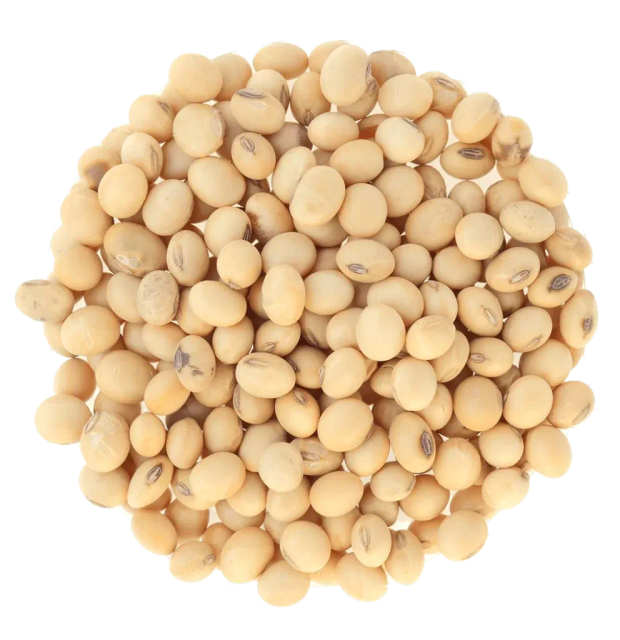 Natural Soybean Seed With 99% Purity Non GMO Freshly Harvested Rich Protein Soybean Seed Packed For Sale - Image 3