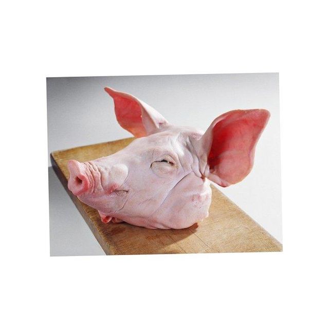 Wholesale High Quality Products Mussels Supply Poultry Meat Sale Pig Frozen Pork Head Bones In Brazil Brazil Frozen Pork Head for sale Factory Price Frozen Pork Head Meat for Sale FOR AFFORDABLE PRICES - Image 4