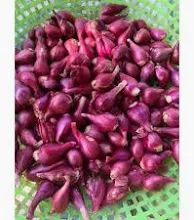 Dried Onion - Image 1