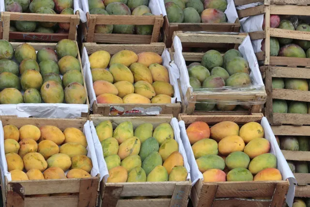 Fresh Mangoes - Image 2