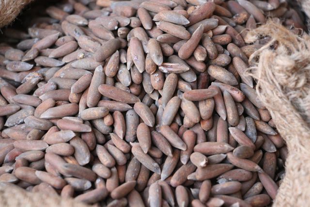Pine Nuts Mold Fungus Nil Broken Kernels Max 5% Insect Infestation Nil Moisture Content Max 5% Foreign Matter Max 0.5% Defective Kernels Max - Image 3