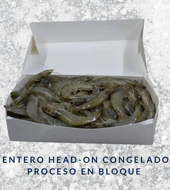 High-quality Ecuadorian shrimp, the best shrimp in the world - Image 2