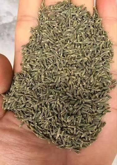 Cumin Seed Grade A Weight 50 Kg Place of Origin THAILAND Shelf Life 2 YEARS, 24 Months Minimum Order Quantity 500 Kg Cer - Image 3
