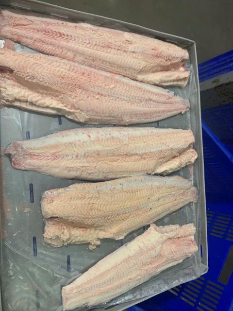 Walking Catfish Form Frozen Origin Vietnam Freshness Level Frozen Packing Size 10kgs Bulks Catch Method Aquaculture, Wild-Caught - Image 3