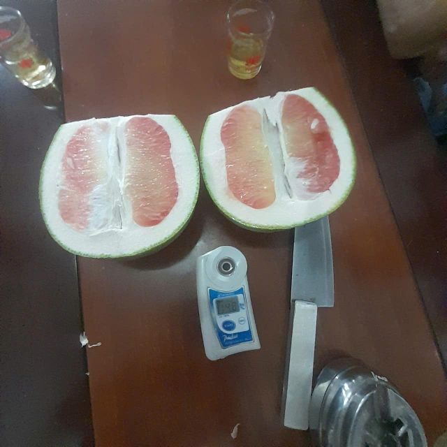 Vietnamese Pomelo FRESH/ FROZEN WHOLE AND MEAT Color Green Fruit Type Pomelo Sourness Not Sour Brix Level 9.5–12% Grade Special, A, B - Image 3