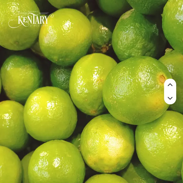 100% Fresh Green Lemons Citrus Seedless Rich Aroma Premium for Cooking and Juicing Application Supply Organic Farm Bulk - Image 1