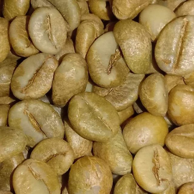 Roasted coffee beans High Quality vietnamese coffee agricultural /Service ODM OEM good price Made Viet Nam - Image 4