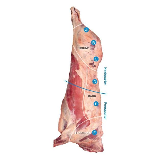 Premium frozen pork carcass processed for retail distribution and food service channels - Image 3