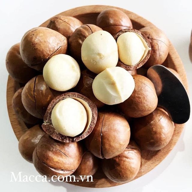 Premium Quality Crunchy Salted Roasted Cashews W240 500g Raw Processed from Vietnam Common Cultivation Type Packed in Pet Jar - Image 4