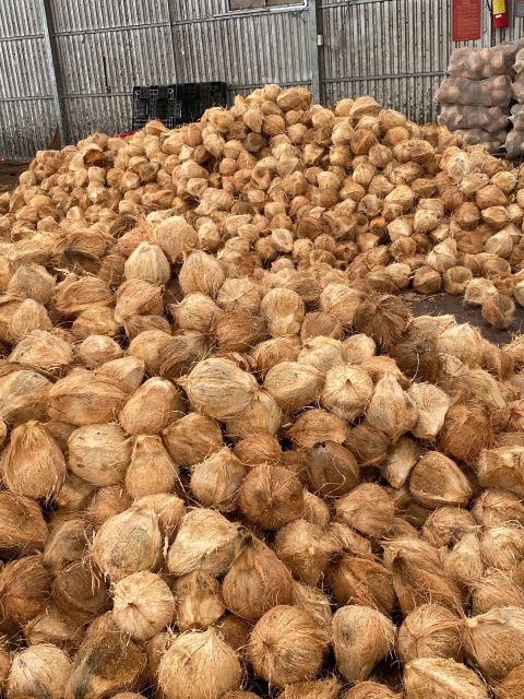 Dried Coconut Organic Yes Origin Vietnam Degree Of Maturity Mature Degree of Processing Dried Processing Type Full-husked - Image 1