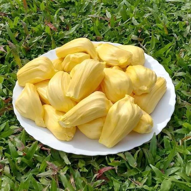 High quality products agriculture Fresh Fruit Jackfruit Delicious Sweet Taste Tropical Fruit From Vietnam - Image 6