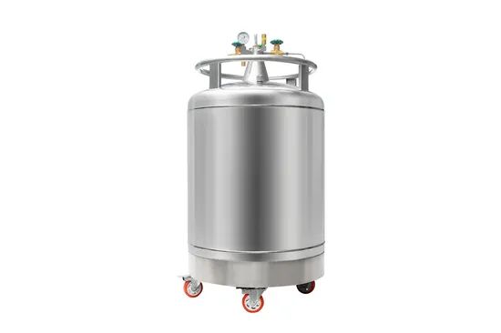 Large Caliber Liquid Nitrogen Container Laboratory Equipment Origin China Condition New Parts Gas Tank Model NO. YDS-10 Net Weight - Image 1