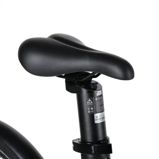 Hidden Battery 20" Electric City Bike 250W 36V Ebike Rear Drive Folding Electric Bicycle - Image 3