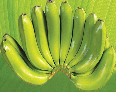 High quality bananas from Vietnam/fresh bananas/100% tax free – product photo 3, product detail gallery