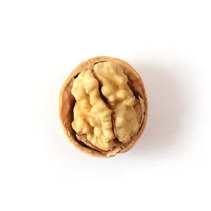 Whosales Chinese Traditional Nutrition Nuts Origin China Storage Shade Processing Raw Trademark sugo HS Code 0802320000 Transport Package Carton - Image 4