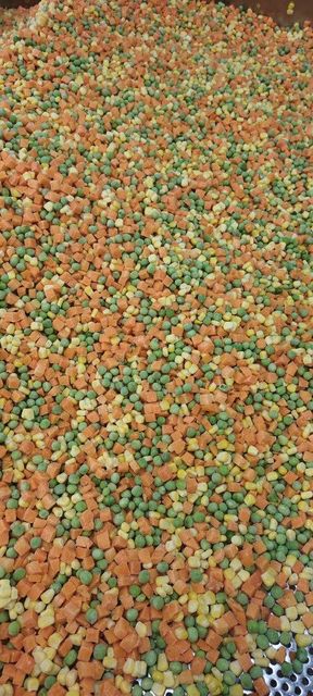 Frozen Mixed Vegetables Grade A Packaging 10kgs Shelf Life 24 - Image 2