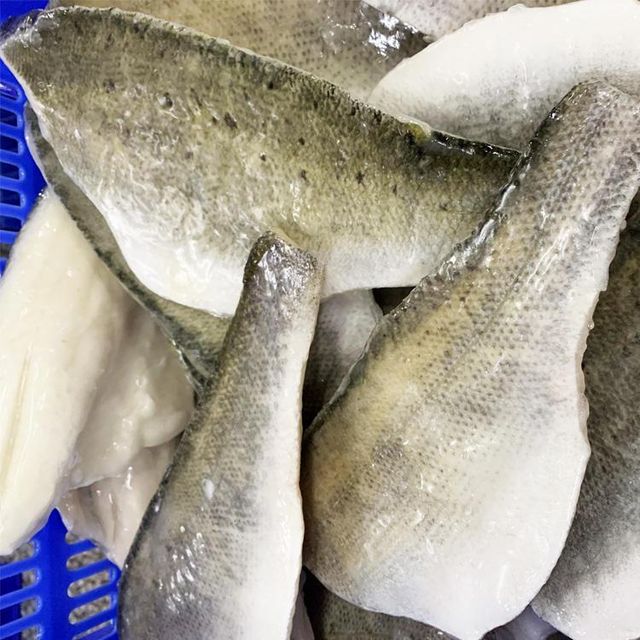 Frozen Sea Bass Fish Export Ready Whole Body Selection Featuring Firm Flesh And Naturally Appealing Appearance - Image 3