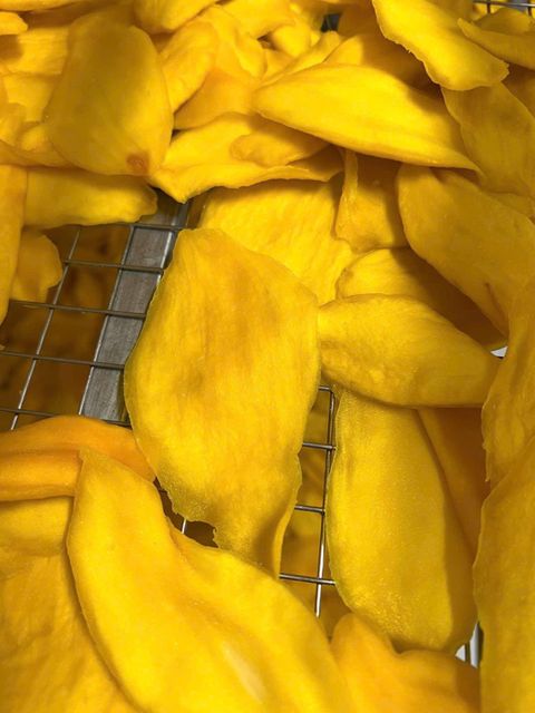 Soft Dried Mango Ready to Eat Healthy Tropical Fruit Snack Private Label Wholesale Manufacturer - Image 3