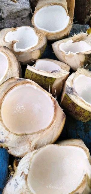Fresh coconut Quality Best quality Place of Origin - Image 1