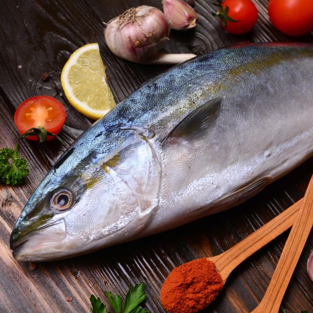Frozen Tuna Fish International Buyer Preferred Seafood Item Featuring Remarkable Texture And Clean Taste - Image 5