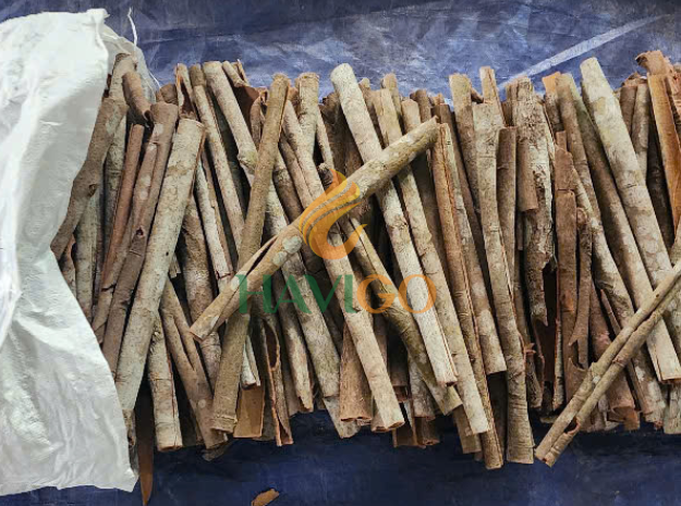 Cassia Cinnamon - Image 3