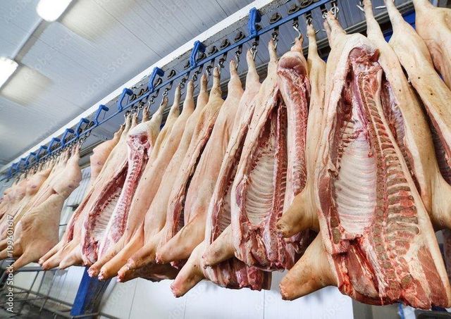 Premium Chilled Goat Meat Carcasses - Image 2