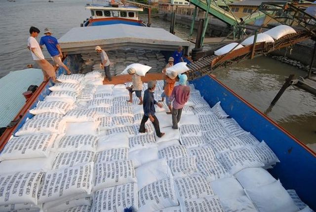 Wholesale Rice 25kg Rice for Pilaf Super DRY Jasmine Fragrant Rice 5% Broken OLD CROP | JANE LEE - Image 4