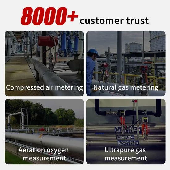 Nitrogen Flow Meter Gas Mass Flow Meter Flow Transmitter Types Thermal Flow Meter Working Principle - Image 4