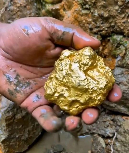 Gold For Sale. Form Other Type Mineral Fineness 916 ‰ (22K) Packaging Packaged as Bulk and Fragile., bulk product - Image 4