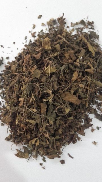 Dried Krishna Tulsi Leaf Grade FOOD Color GREEN Packaging HDPE Digestion Aid Yes Max. Moisture (%) 8% Shelf Life 24 MONTHS - Image 4